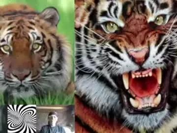 Freechat kodiakpm1 on Chaturbate