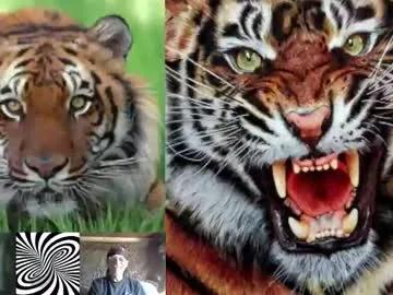 Freechat kodiakpm1 on Chaturbate