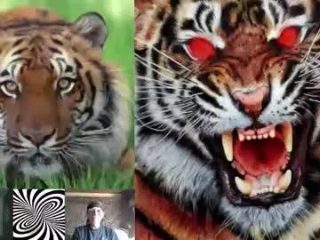 Freechat kodiakpm1 on Chaturbate