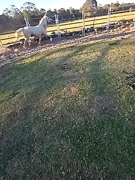 StripChat brokecountrylads is Freechat brokecountrylads — cum 4 you