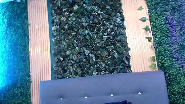 Freechat leyla_smithh on StripChat