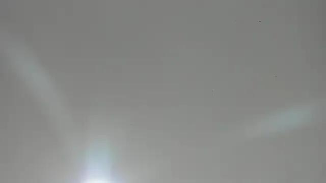 StripChat veronica_hill_ is Freechat veronica_hill_ — Show anal + control lush x5min