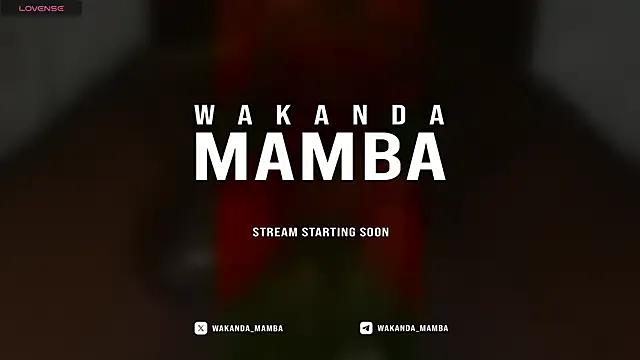 Freechat Wakanda_Mamba on StripChat
